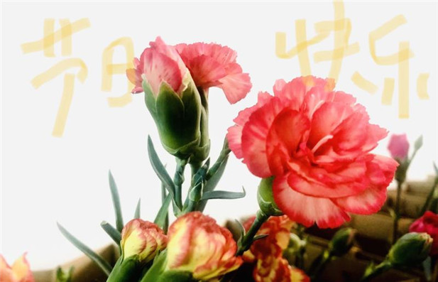 336197461498927666.jpg 336197461498927666.jpg